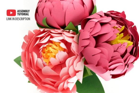 3D Paper Peony Flowers: A 3D SVG Review for Sellers