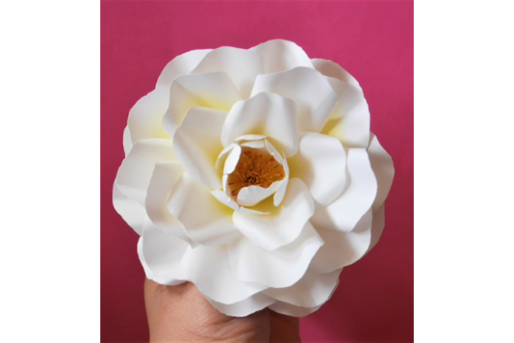 Aprikola Rose: 3D SVG for Paper Flowers