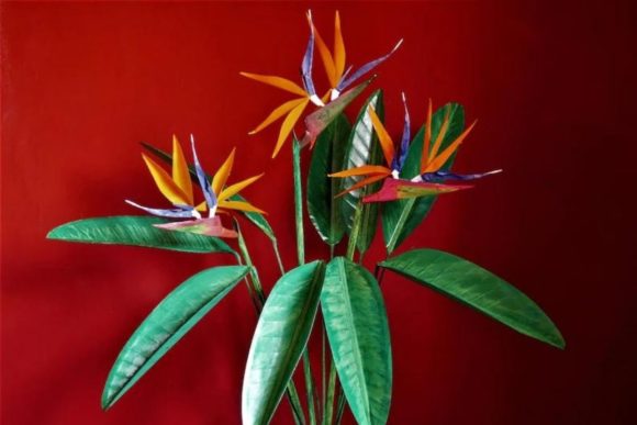Bird of Paradise Paper Flower Templates 3D SVG