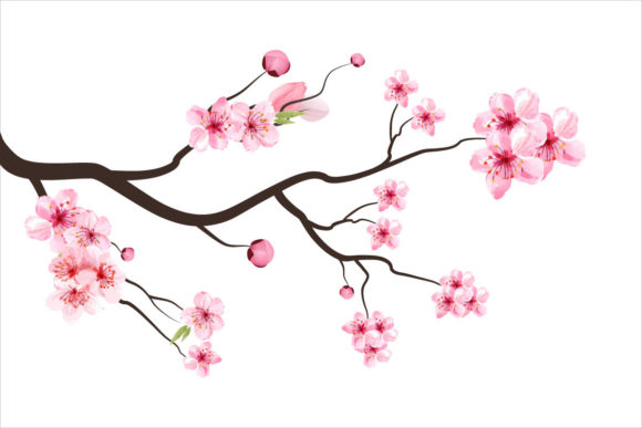 Cherry Blossom Branch Graphics & Graphic Templates