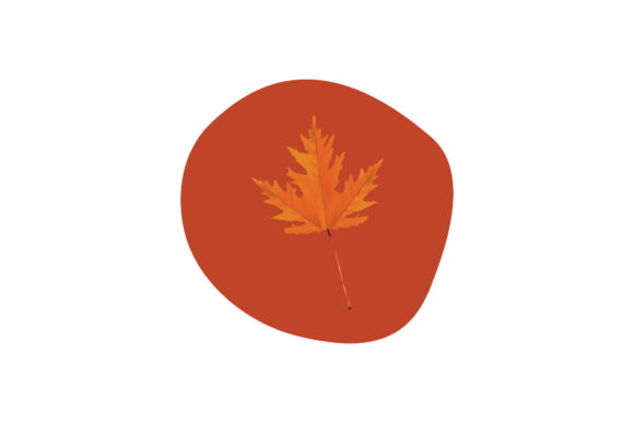 Fall Autumn Leaf Graphics and Freebies Review