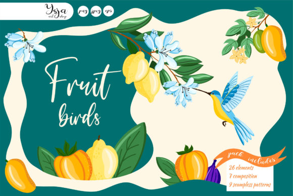 Fruit Birds: Vibrant Graphics & Illustrations