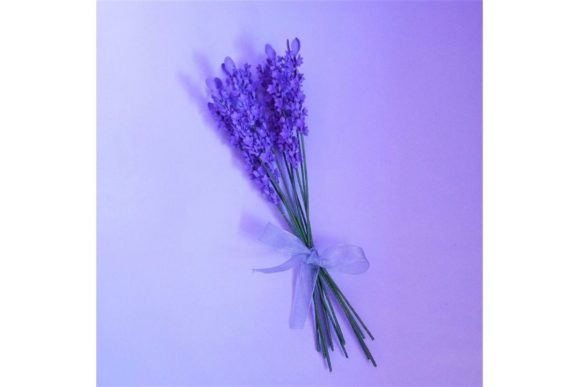 Lavender Paper Flower Templates Review