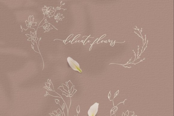 Line Drawing Botanical Illustrations: Graphics & Illustrations