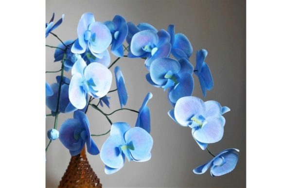 Orchids Paper Flower Templates: 3D SVG Review