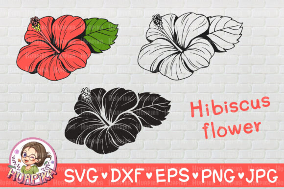 Red Hibiscus Graphics & Illustrations Review