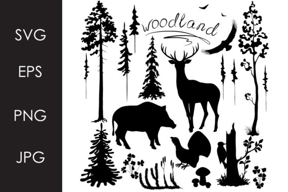 Reviewing Monochrome Woodland Plants and Animals