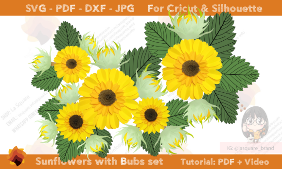 Set Sunflower with Bud Flower Templates 3D SVG