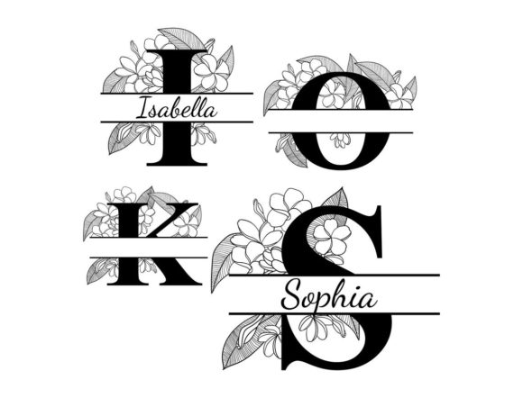 Split Monogram Plumeria Flowers Alphabet: Graphics & Crafts