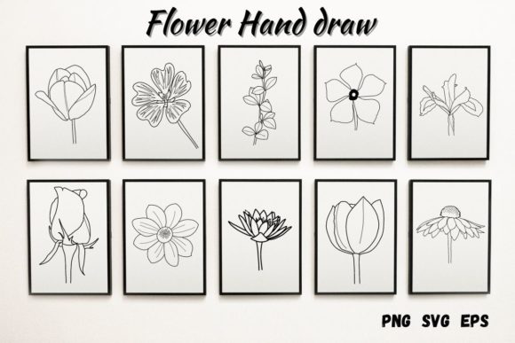 Tulip Rose Wildflower Hand Drawn Graphics