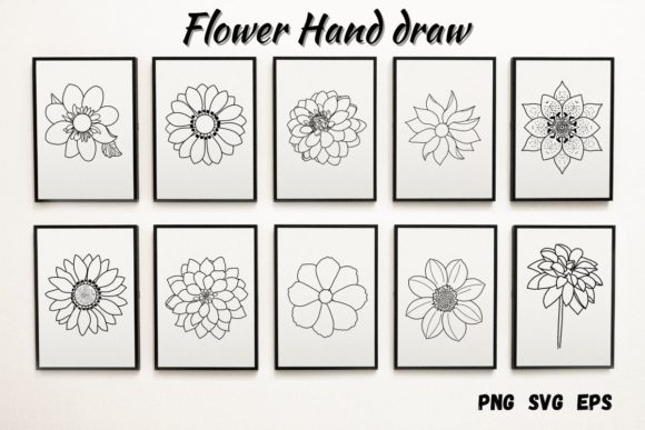 Windflower Graphics & Illustrations Review
